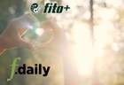 H Fito+   f.daily   