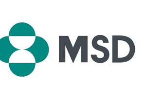  MSD   IDEA Studios 